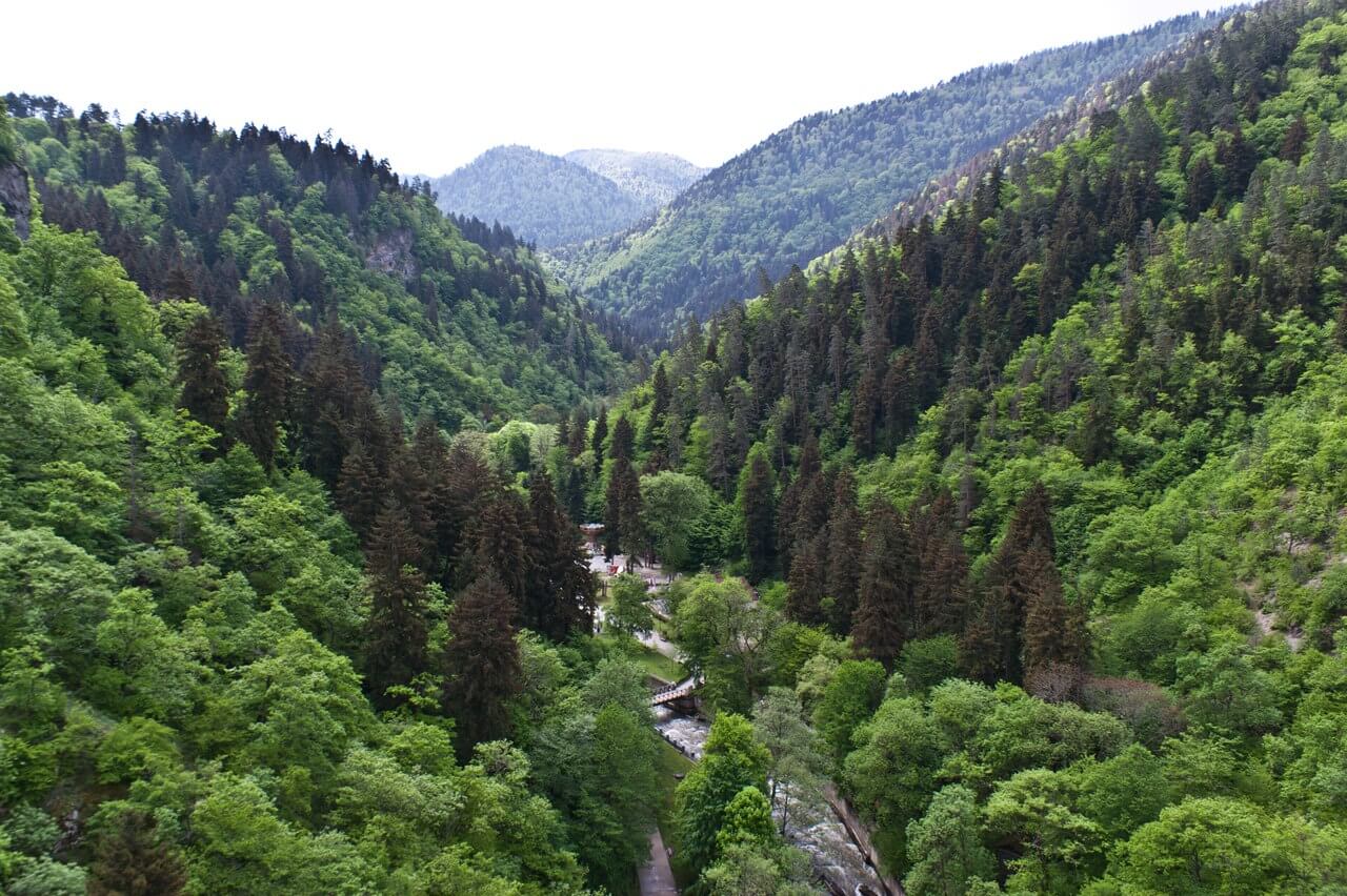 Центральный парк в Боржоми